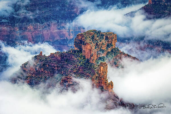 Nature Photograph - Sea Of Clouds by Steven Dos Remedios