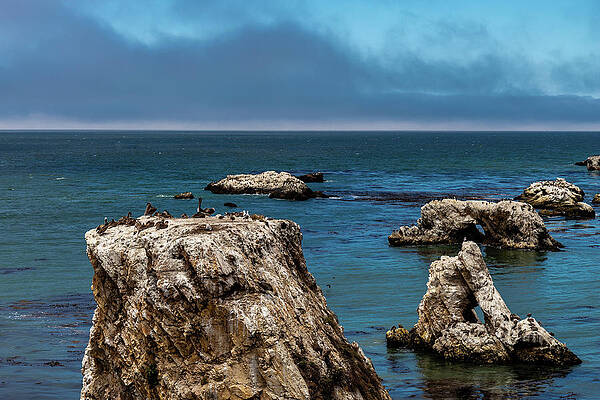 Beautiful Photograph - Sea Stack Bird Sanctuary by Ed Clark