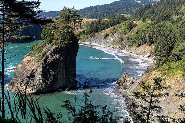 Oregon Wall Art featuring the photograph Sea Stack On Isolated Beach by Ed Clark