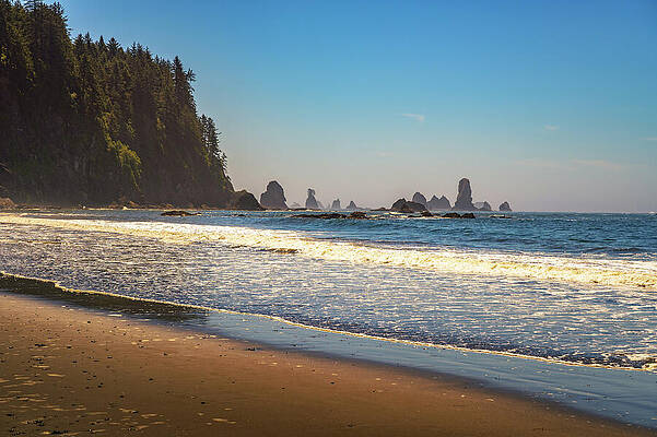 Wall Art featuring the photograph Sea Stacks And Forested Cliffs At La Push Third Beach, Washington State by Miroslav Liska
