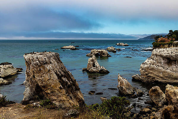 Beautiful Photograph - Sea Stacks At Dinosaur Caves Park by Ed Clark