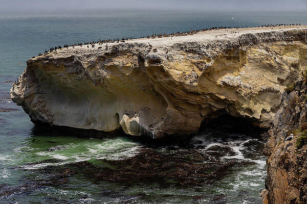 California Photograph - Sea Stacks Near Dinosaur Caves Park by Ed Clark