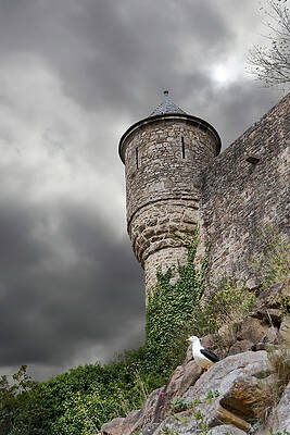 Architecture Photograph - Seagull At Mont Saint-Michel, France by John Twynam