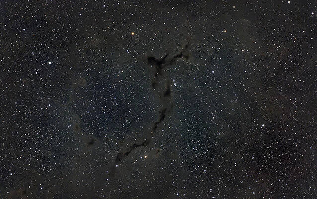 Nebula Photograph - Seahorse Nebula by Brian Weber
