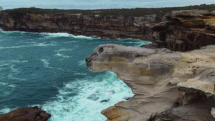 Natural Wall Art featuring the photograph Seal Rock by Andre Petrov