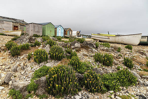 Seaside Boat and Shack Scene Wall Art