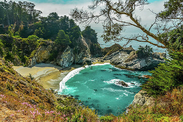 Nature Photograph - Seaside Serenity At McWay Falls by Deb Beausoleil