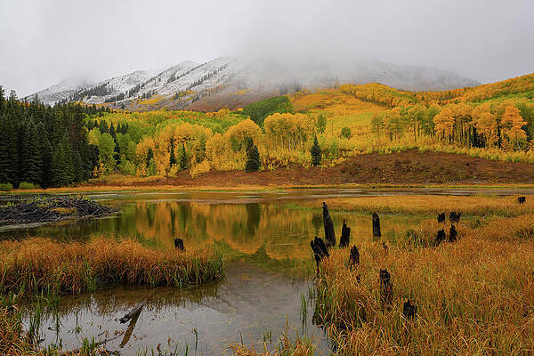 Wall Art featuring the photograph Seasons Collide 1 by Sunniye Buesing