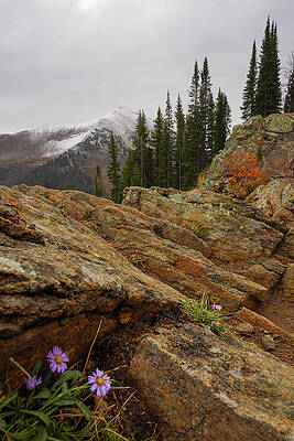 Mountain Photograph - Seasons Collide 3 by Sunniye Buesing