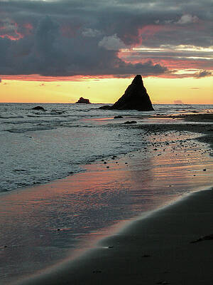 Wilderness Wall Art featuring the photograph Seastack In Sunset On The Wilderness Coast by Nancy Gleason