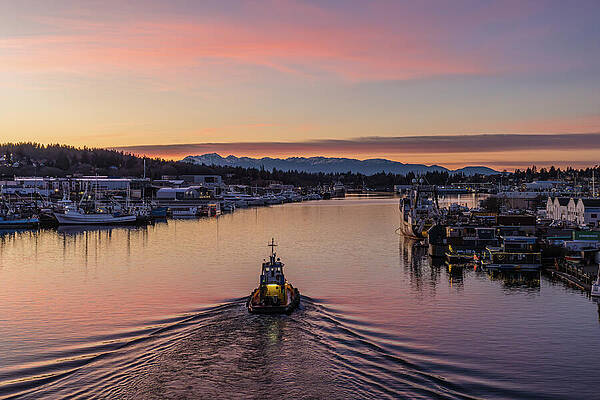 Sunset Wall Art featuring the photograph Seattle Sunset Silhouette by Nova Rae
