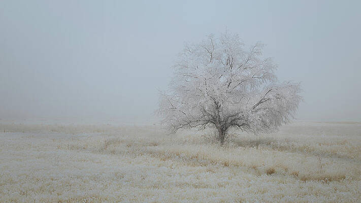 Rustic Wall Art featuring the photograph Seclusion by Mike Lee