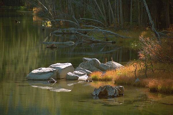 Water Photograph - Secret Spot, Upper Twin Lakes, Mammoth Lakes, California by Bonnie Colgan