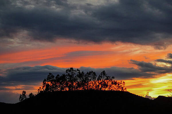 Sedona Sunset by Sunniye Buesing