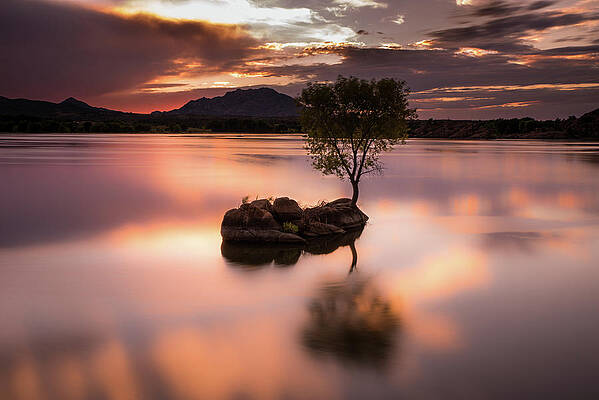 Photograph - Seeking Stillness by Matt Halvorson