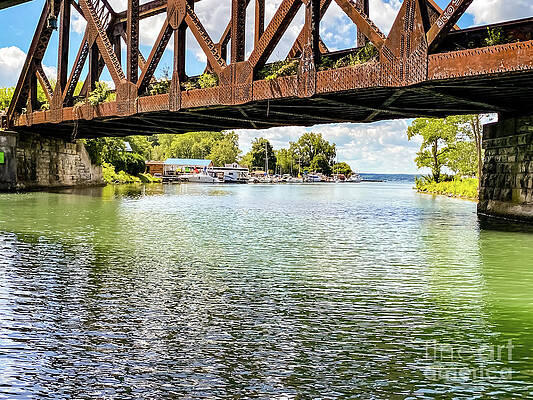 Finger Lake Photograph - Seneca River Canal 3 by William Norton