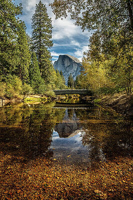 Nature Photograph - Sentinel Fall Splendor --Tall by Tim Lyden
