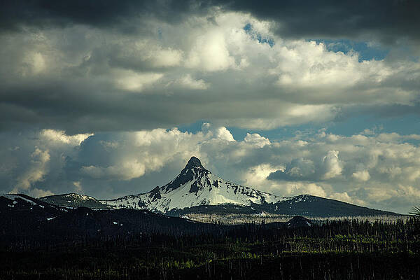 Washington Wall Art featuring the photograph Sentinel Of The Santiam by Tim Lyden