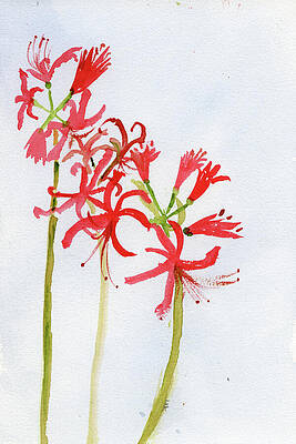 Flower Painting - September Red Spider Lily Birth Flower by Elizabeth Reich