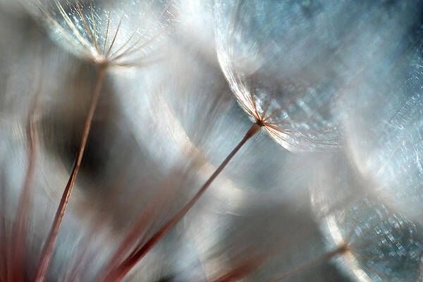 Summer Wall Art featuring the photograph September by Ursula Abresch