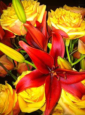 Wall Art featuring the photograph Serendipity by Juliette Becker