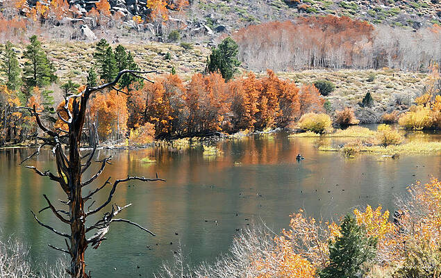 Serene Autumn Lake Scene Photograph