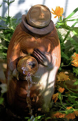 Serene Photograph - Serene by Barbara Siegel