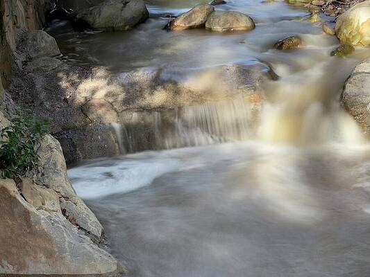 Serene Flowing Stream Photograph