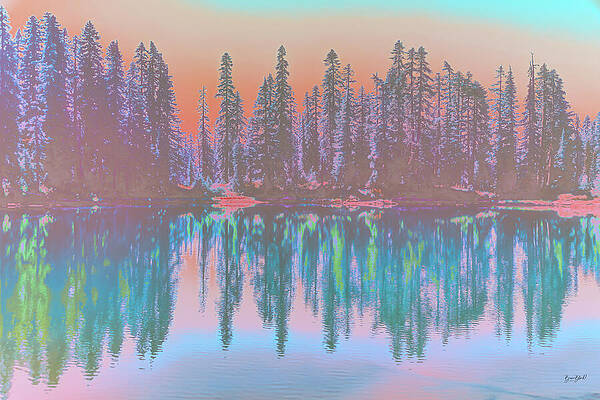 Serene Forest Lake Reflection Photograph