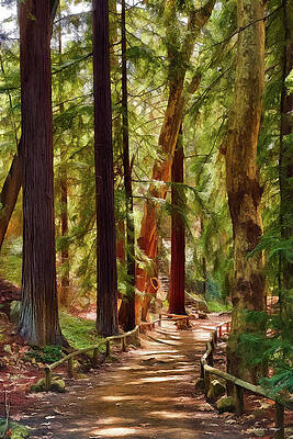 Serene Forest Path Wall Art