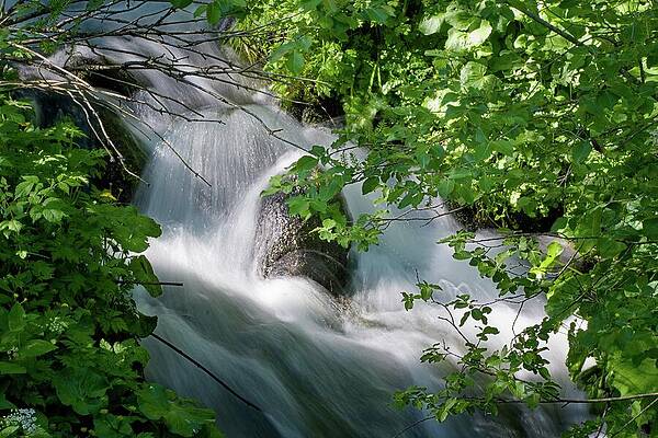 Serene Forest Stream Cascading Wall Art