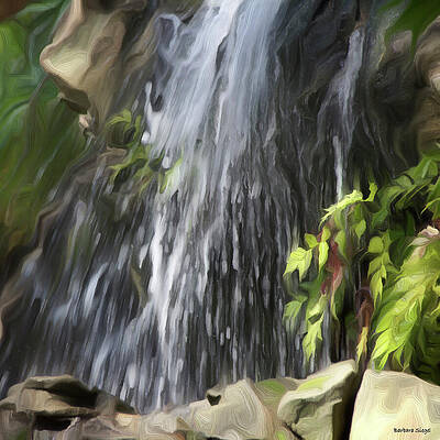 Serene Forest Waterfall Photograph