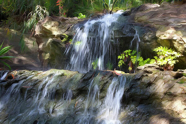 Serene Forest Waterfall Scene Photograph