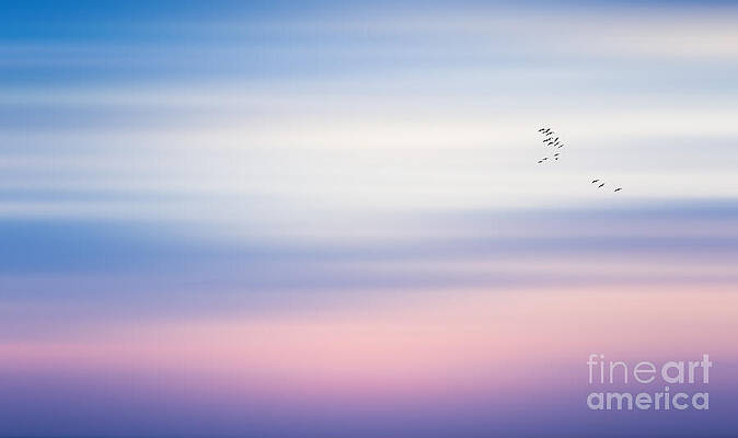 Vibrant Photograph - Serene Freedom Wide HQ Wall Art by Stefano Senise