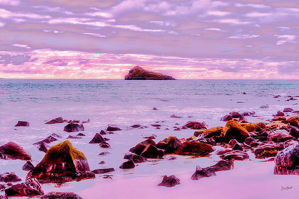 Serene Coastal Island View Photograph
