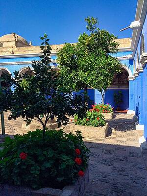 Serene Wall Art featuring the photograph Serene Garden, Santa Catalina Monastery, Arequipa, Peru by Travel Essayist