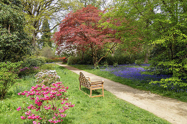 Serene Garden Path with Bench Wall Art