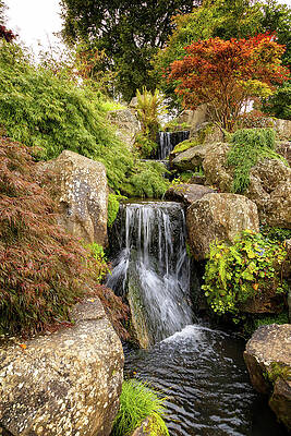 Unite Kingdom Wall Art featuring the photograph Serene Garden Waterfall Scene by Shirley Mitchell