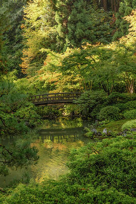Serene Garden with Wooden Bridge Wall Art