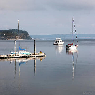 Serene Harbor with Boats Photograph