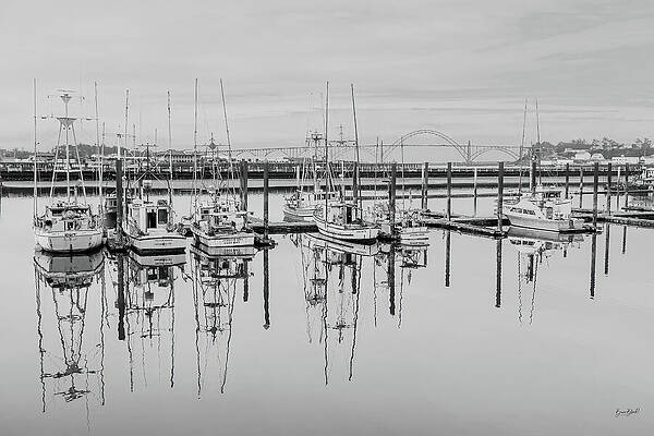 Serene Harbor with Fishing Boats Photograph