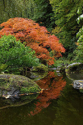 Serene Japanese Garden in Autumn Wall Art