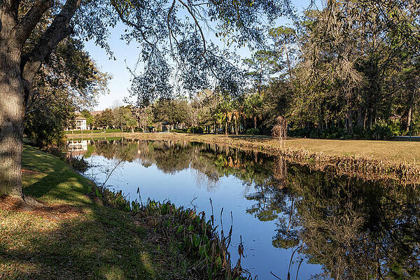 Tranquil Riverside Reflection Photograph