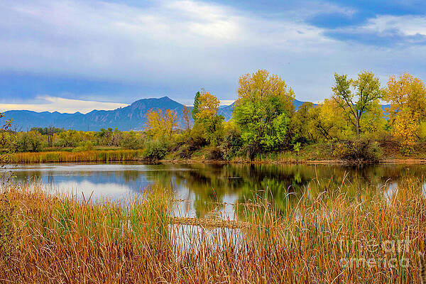 Serene Lakeside Autumn View by Shirley Dutchkowski