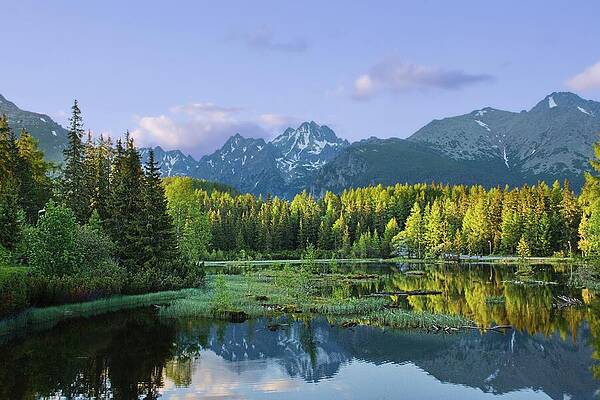 Serene Mountain Lake Landscape Wall Art
