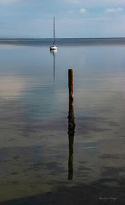 Serene Sailboat on Calm Waters Photograph