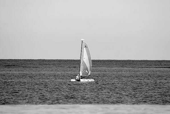 Black And White Photograph - Serene Sailing by Gina Cinardo