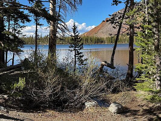 Serene Secluded Mountain Lake Shoreline View by Bonnie Colgan