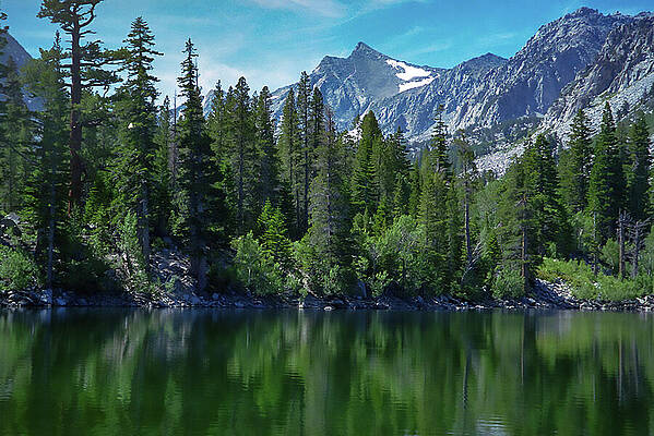 Tree Photograph - Serene Sherwin Lake Mammoth Trails by Bonnie Colgan
