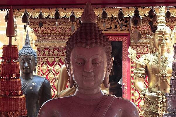 Serene Wall Art featuring the photograph Serene Statues, Diverse Buddha Depictions In Chiang Mai by Travel Essayist